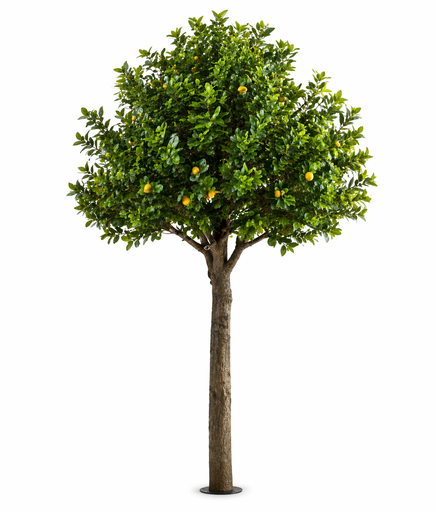 [2158] Kunstig sitrontre 3,5 m (standard)